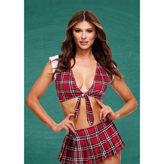 TEACHERS PET Schoolgirl Crop Top & Skirt - S/M